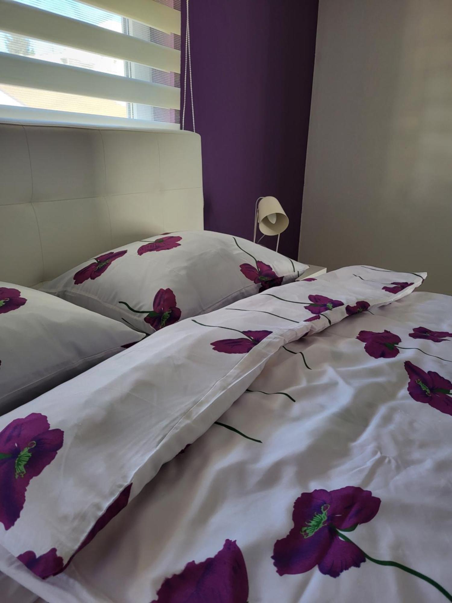 Purple Rooms モスタル エクステリア 写真