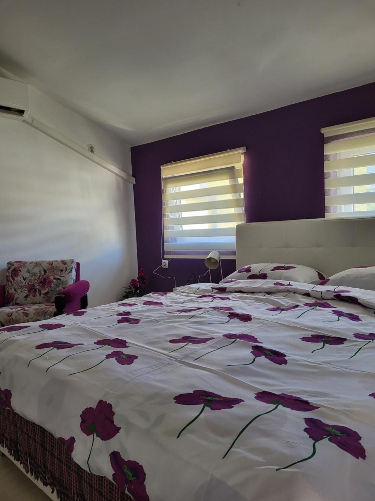 Purple Rooms モスタル エクステリア 写真
