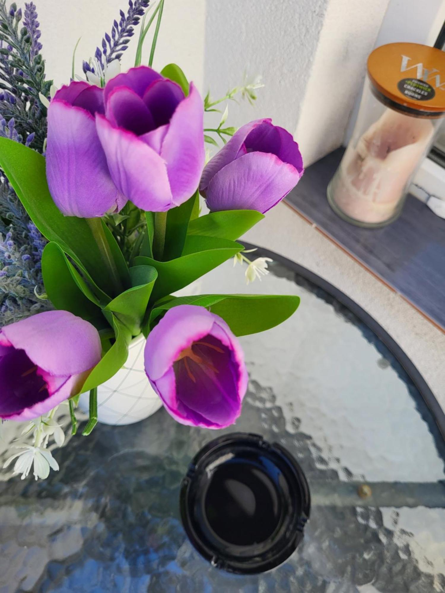 Purple Rooms モスタル エクステリア 写真