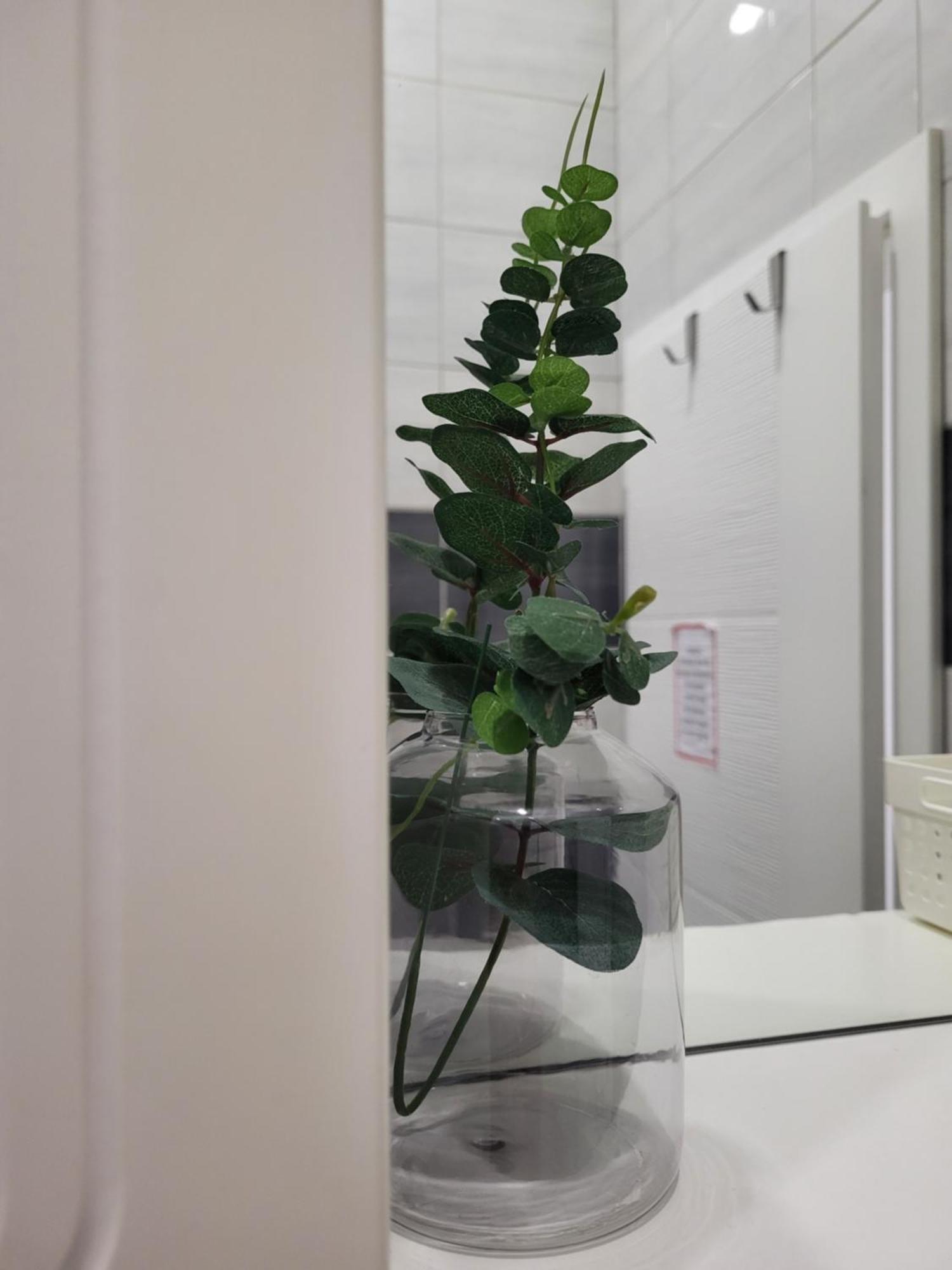 Purple Rooms モスタル エクステリア 写真